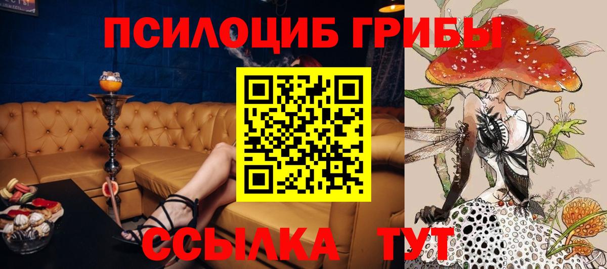 Галлюциногенные грибы мицелий Малгобек